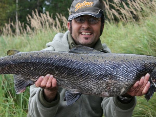 Sweden-Lapland Salmon