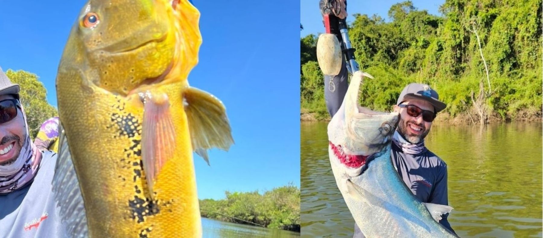 Viaje en Grupo Brasil-Amazonas 