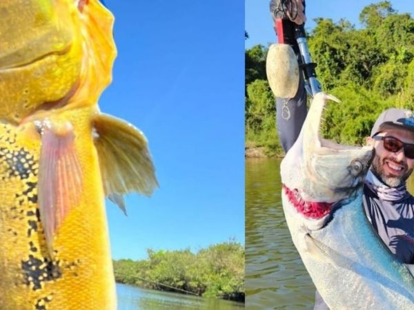 Viaje en Grupo Brasil-Amazonas 